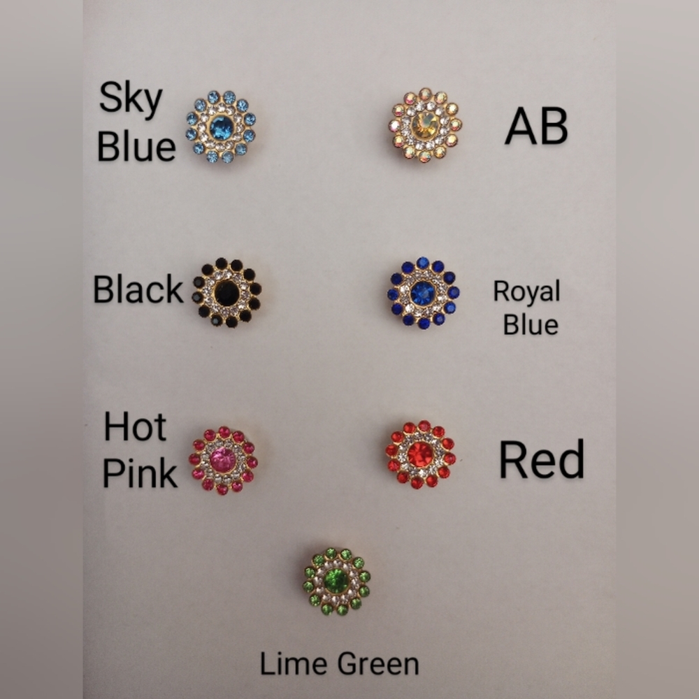 Magnetic Earrings or Contestant Number Holder